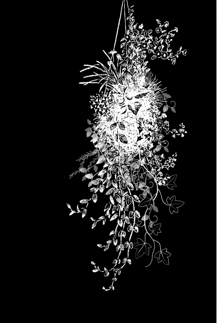 Cover of Plant Lovers Journal