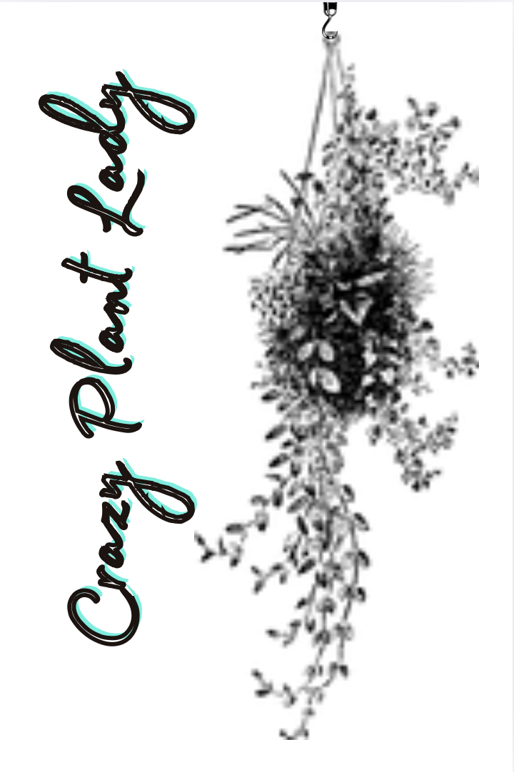 Cover of Crazy Plant Lady